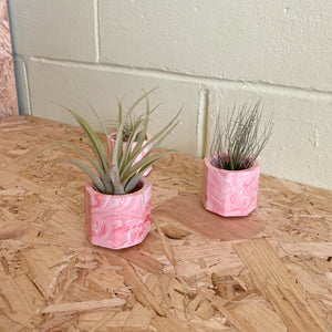 Jesmonite marbled mini planter with air plant