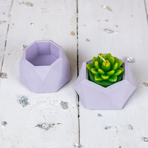 Mini planters