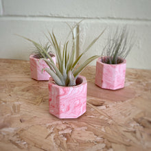 Load image into Gallery viewer, Jesmonite marbled mini planter with air plant