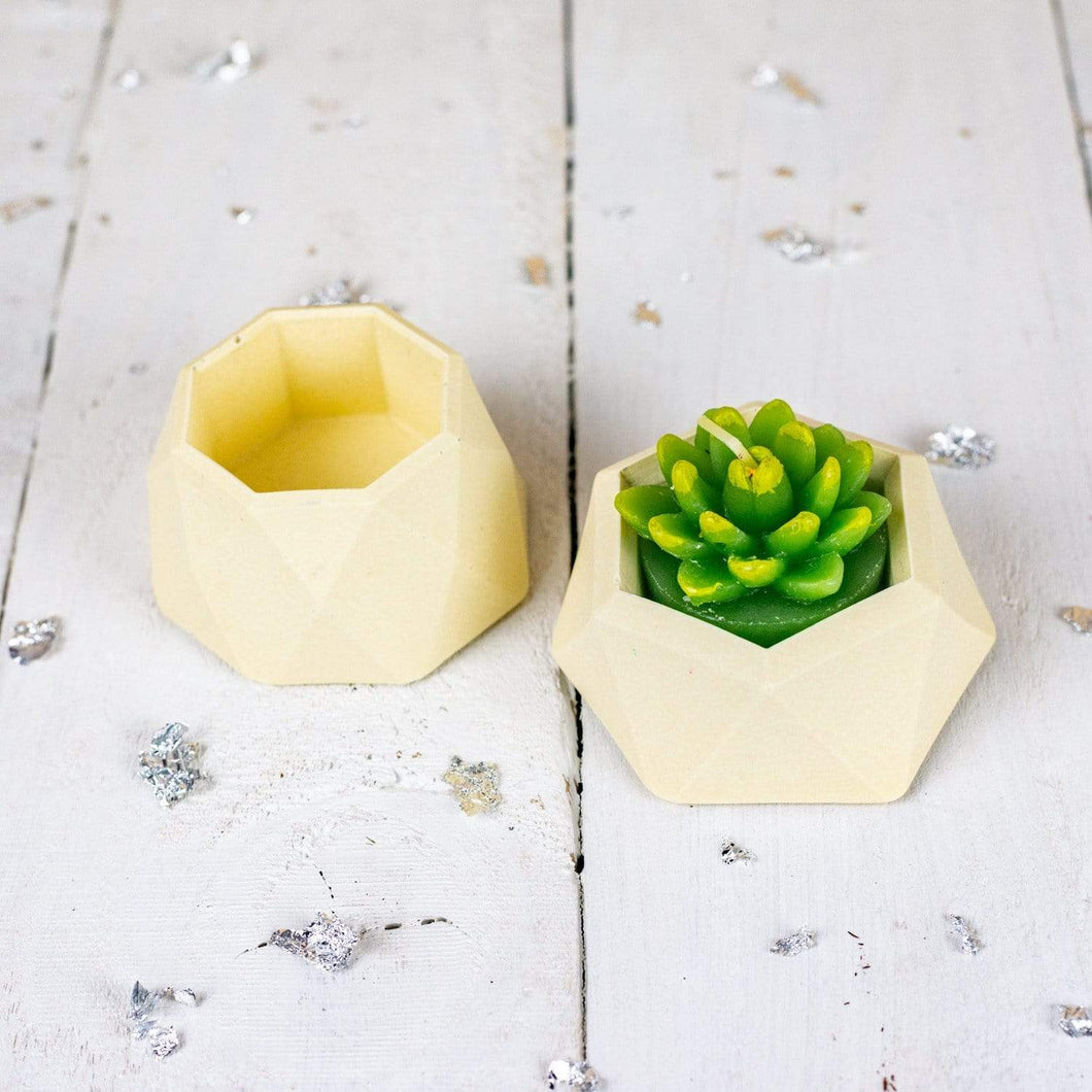 Nine Angels Jesmonite mini planters, 2 pastel yellow tiny succulent planters